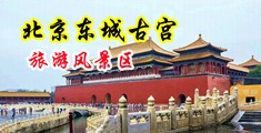 欧美天天影院精三级干中国北京-东城古宫旅游风景区